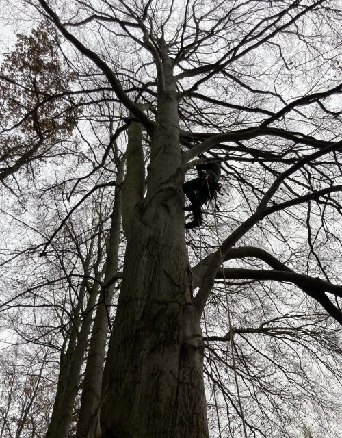 Unten 4